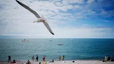 Seekor burung camar terbang di atas para pengunjung pantai di Etretat, Prancis barat laut (17/7). Kota ini merupakan kota wisata dan pertanian yang terletak sejauh 32 km (20 mi) dari Le Havre. (AFP Photo/Charly Triballeau)