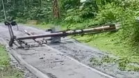 Dua Tiang Listrik Roboh, Jalur Selatan Cianjur Lumpuh