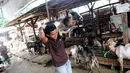 Seorang penjual memanggul kambing di Pasar Kambing Tanah Abang, Jakarta, Minggu (11/9). Satu hari jelang Idul Adha 1437 H, pedagang di pasar tersebut bisa menjual 70-90 ekor per hari dari harga Rp 2 juta hingga 5 juta. (Liputan6.com/Faizal Fanani)