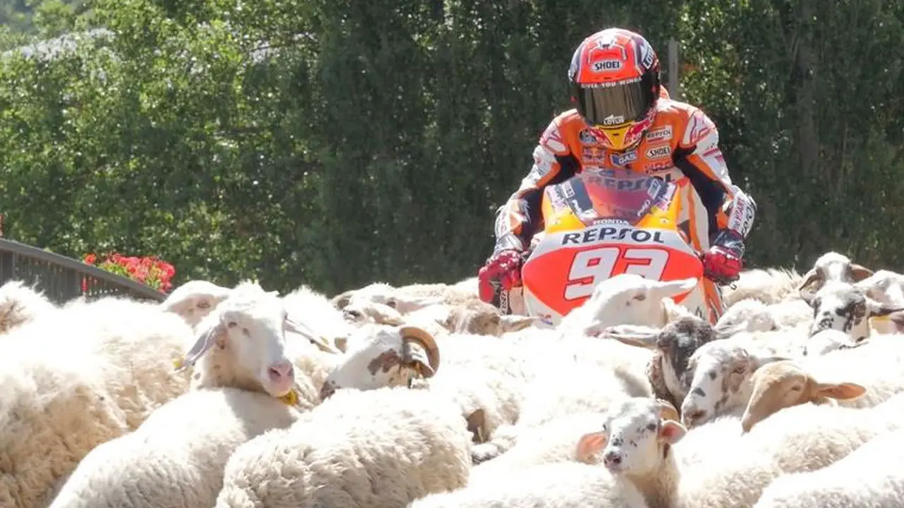 Marc Marquez 