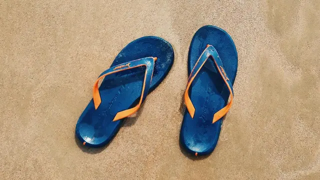 Ilustrasi sandal jepit