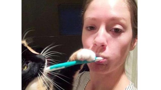 7 Tingkah Laku Nyeleneh Hewan Peliharaan Ini Bikin Geregetan