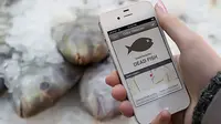 Smartphone Ini Bisa Hasilkan 10.000 Aroma Berbeda