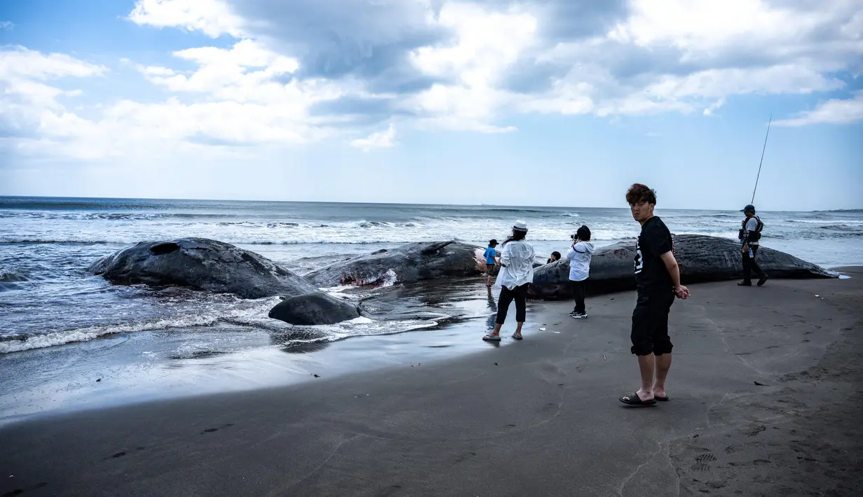 Beberapa ekor paus sperma terdampar di Pantai Hirasuna, Prefektur Chiba, Jepang, sejak Rabu (30/7/2025). (Philip FONG/AFP)