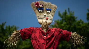 Sebuah orang-orangan sawah ditampilkan selama 'Scarecrows Fair' di Castellar, distrik Provinsi Cuneo, Italia, 10 Mei 2019. Dalam acara tahunan itu, penduduk membuat orang-orangan sawah kreasi mereka sendiri untuk dipajangkan di kebun, halaman, ladang dan persimpangan jalan. (MARCO BERTORELLO/AFP)