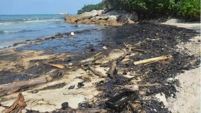 Limbah hitam di pantai Lagoi, Bintan, yang menerpa pantai beberapa hari terakhir.