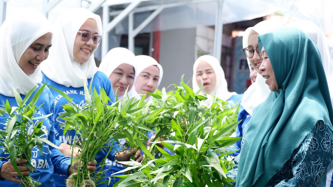 BRI Peduli Bertani di Kota (BRInita) di Banjarmasin, Pemberdayaan Positif dan Menghasilkan dari Menanam di Lahan Sempit