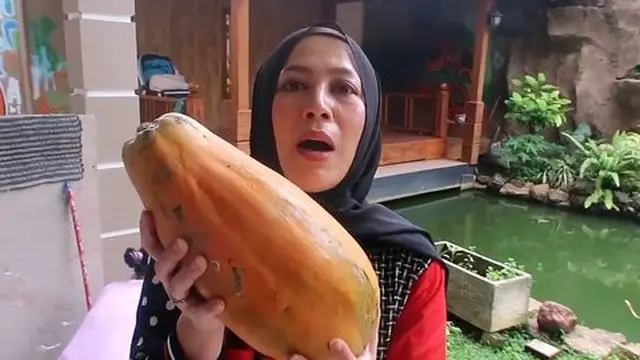 Shanty Istri Denny Cagur