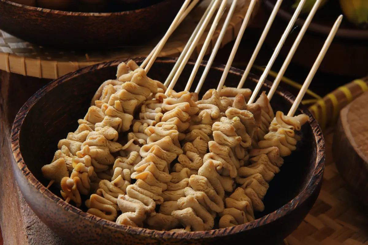 usus ayam