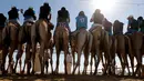 Sejumlah joki bersiap di garis start saat mengikuti lomba balap unta di festival unta Sheikh Sultan Bin Zayed al-Nahyan di arena pacuan shweihan di al-Ain di pinggiran Abu Dhabi (2/2). (AFP Photo/Karim Sahib)