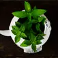 Daun Mint (sumber: Pixabay)