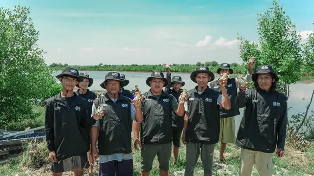 BRI Tanam 500 Mangrove di Muara Gembong untuk Jaga Ekosistem Pesisir