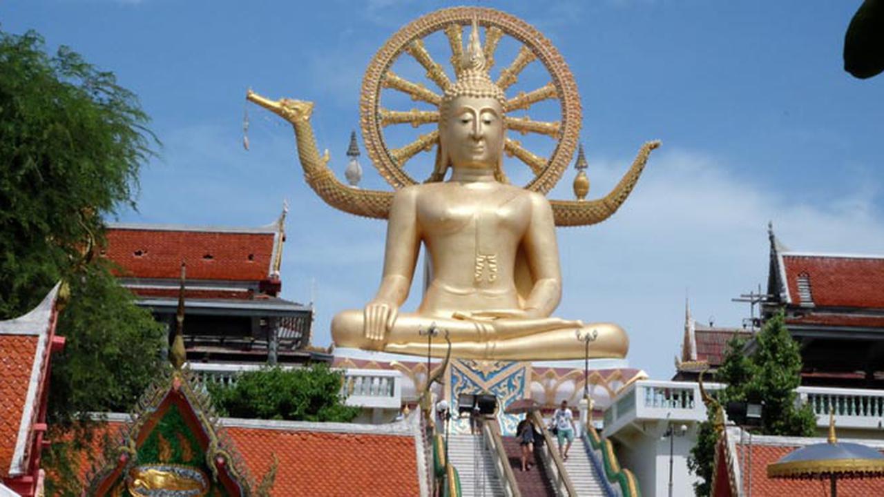 Mario `@WheelStory` Iroth