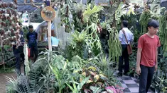 Pengunjung melihat-lihat tanaman yang dijual dalam pameran Flora dan Fauna 2018 di Taman Lapangan Banteng, Jakarta, Selasa (21/7). Pameran berlangsung mulai 10 Agustus hingga 10 September 2018. (Liputan6.com/Immanuel Antonius)