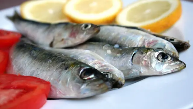 Tak Cuma Kaya Protein, Ini 5 Alasan Makan Ikan Sarden