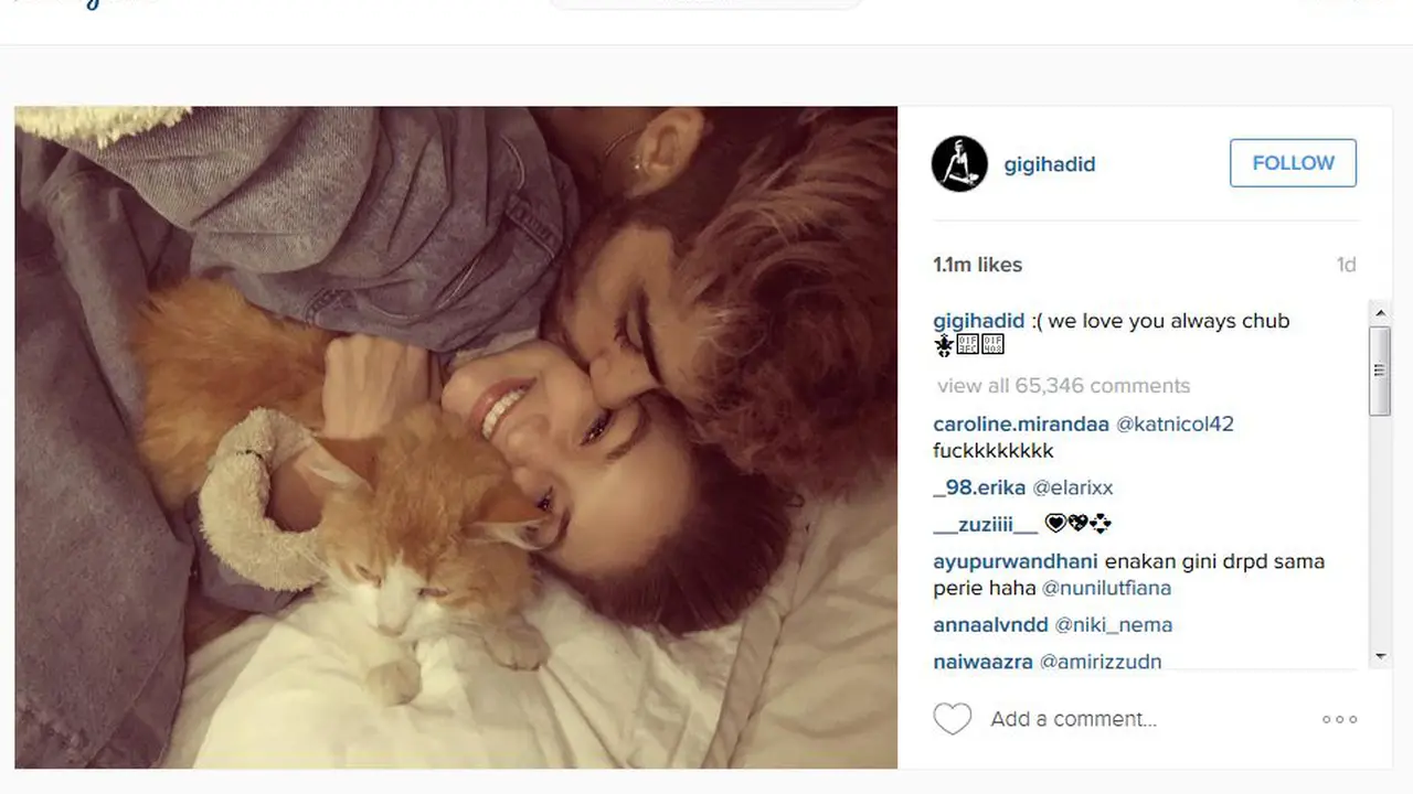 Gigi Hadid dan Zayn Malik 