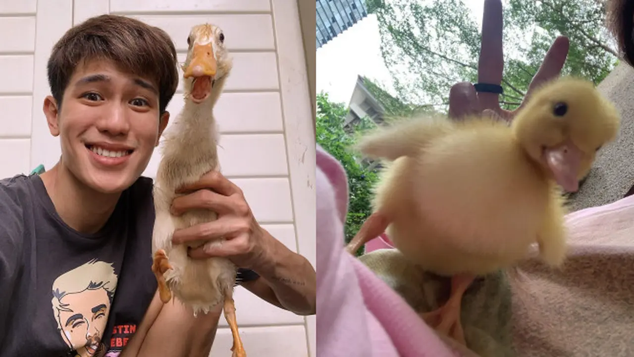 Momen Kocak Julian Jacob Bersama Bebek Peliharaannya, Bikin Gemas Warganet