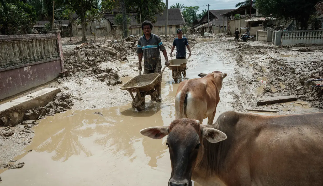 Warga berharap pemerintah segera memulihkan pasokan air bersih agar proses pemulihan pascabencana dapat berjalan lebih cepat. Tampak dalam foto, warga mendorong gerobak kosong kembali ke rumah mereka yang rusak akibat banjir bandang di Aceh Tamiang, Minggu 14 Desember 2025. (Yasuyoshi CHIBA/AFP)