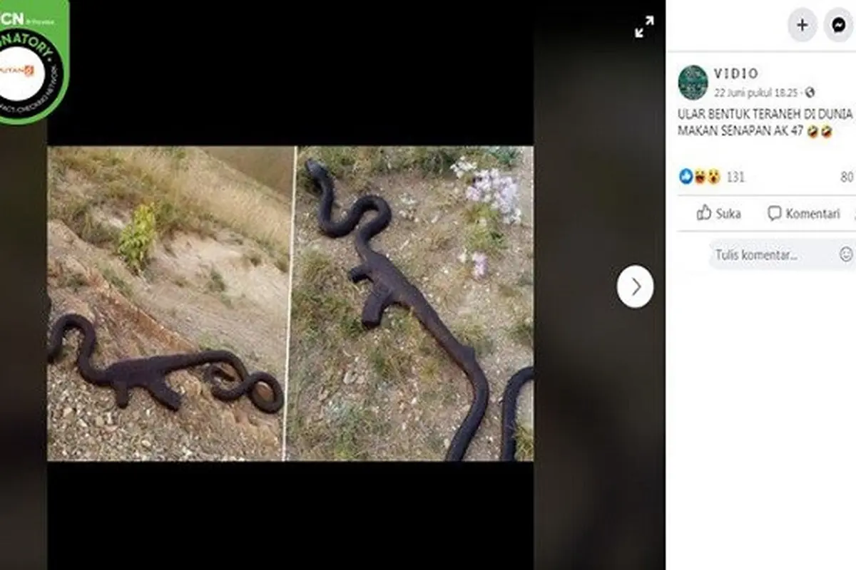 Gambar Tangkapan Layar Foto Ular Berbentuk Senjata Api