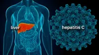 Seseorang yang menderita virus hepatitis c dapat mengakibatkan tubuh terserang penyakit lainnya.