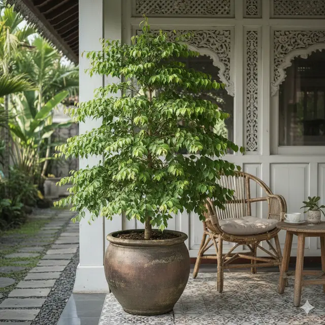 Jenis Pohon Kecil Berdaun Indah untuk Teras Rumah (Foto: Gemini AI)