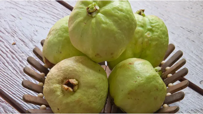 Courtesy ShutterStock.com