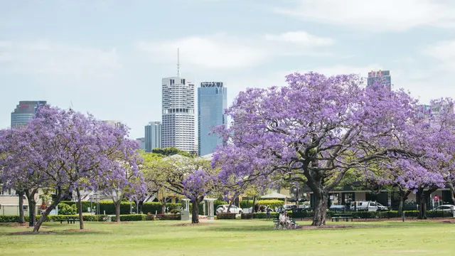 BrisbanePhoto source: Tourism and Events Queensland