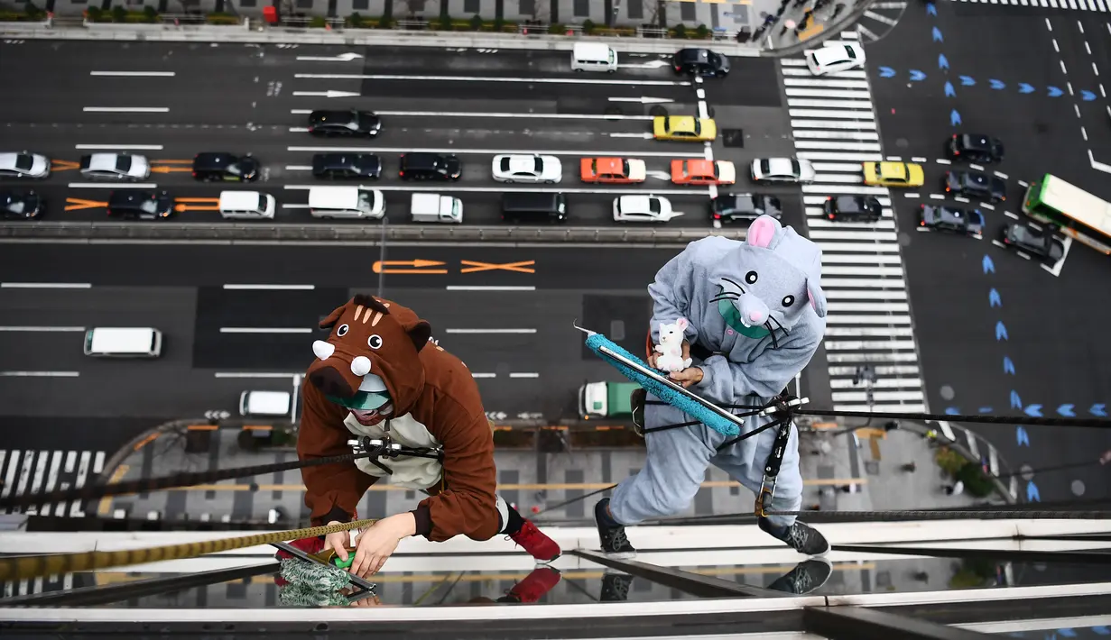 Para pekerja mengenakan kostum babi hutan dan tikus saat membersihkan kaca jendela  sebuah gedung di Tokyo, Kamis (19/12/2019). Hal ini mereka lakukan untuk merayakan bahun baru Imlek 2019 di Tahun Babi Tanah dan menyambut Tahun Tikus pada 2020. (Photo by CHARLY TRIBALLEAU / AFP)