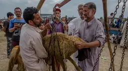 Pedagang menimbang seekor kambing di sebuah pasar di Srinagar, Kashmir, India (30/8). Umat Muslim dari seluruh dunia sedang mempersiapkan menyambut Idul Adha 1438 H. (AP Photo / Dar Yasin)