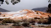 Gurun Sahara turun salju. (Via: boredpanda.com)