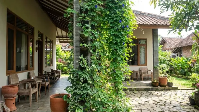 Teras Rumah Desa dengan Taman Vertikal