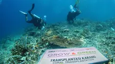 BRI melalui aktivitas Corporate Social Responsibilty (CSR) BRI Peduli Grow &amp; Green berkomitmen mendukung dan menjaga ekosistem dengan biodiversitas laut yang tertinggi dibanding ekosistem laut lainnya, melindungi pantai dan daerah pesisir, serta mengurangi pemanasan global. (Dok. BRI)