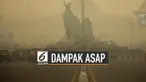 Kabut asap Riau menimbulkan berbagai dampak untuk masyarakat. Baik masalah kesehatan hingga ekonomi.