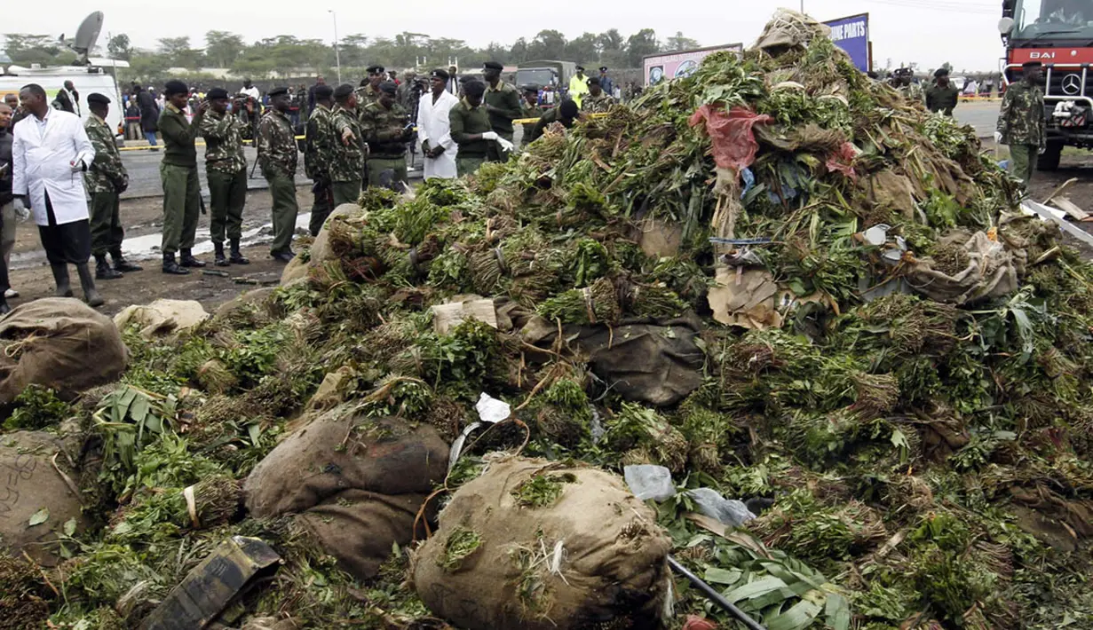 Tumpukan besar daun khat terlihat usai ditarik dari bangkai pesawat kargo jenis Fokker 50 yang jatuh dan terbakar tak lama setelah lepas landas dari Jomo Kenyatta International Airport, (2/7/2014). (REUTERS/Thomas Mukoya)