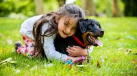 Ilustrasi anjing yang membantu mengurangi stres anak. (Foto: Unsplash/Vitaliy Zalishchyker)