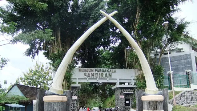 Museum Sangiran