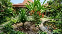 16 Tanaman yang Cocok untuk Rain Garden Tropis, Taman Cantik Anti Genangan