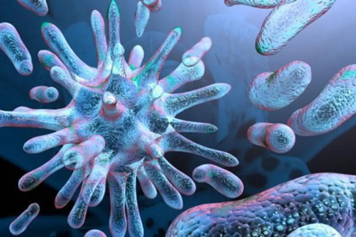 Foto: copyright shutterstock.com