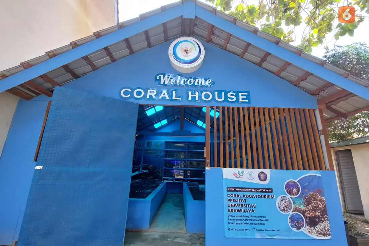 Cora House Tempat melihat eksotosnya biota laut di Selat Bali (Hermawan Arifianto/Liputan6.com)