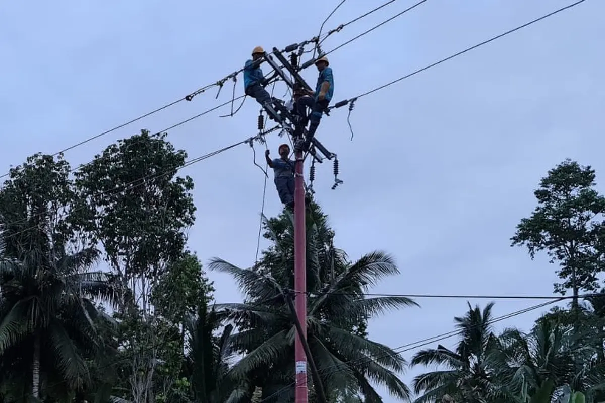 PLN