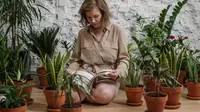 Belajar menanam tanaman obat dalam pot/ cottonbro from Pexels