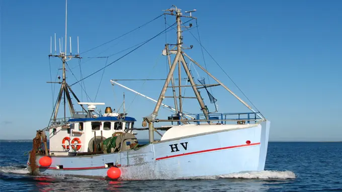 courtesy shutterstock