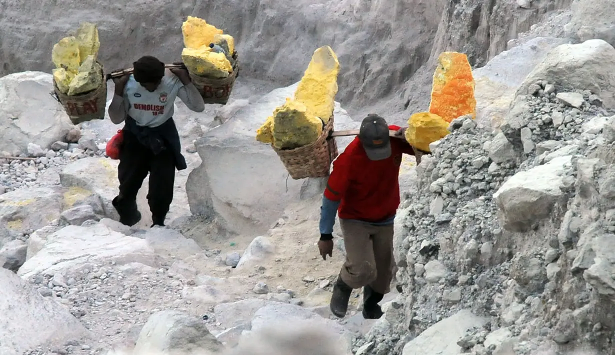 Dua orang penambang sulfur mengangkut hasil tambang keluar kawasan kawah Gunung Ijen, Jawa Timur, (20/10/2014). (Liputan6.com/Helmi Fithriansyah)