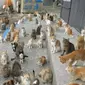 Potret lucu kucing lagi kumpul (sumber: Instagram/wkwkland_real)