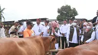 Cegah Penyakit Mulut dan Kuku, Banyuwangi Vaksinasi Puluhan Ribu Sapi