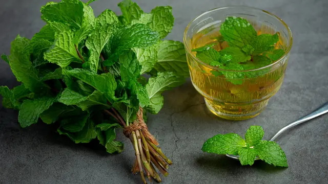 Peppermint