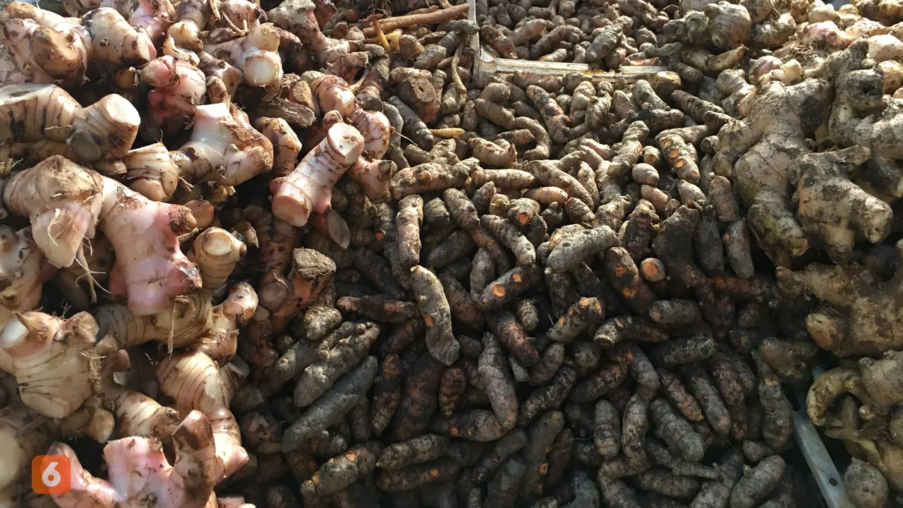 Rempah-Rempah Jamu