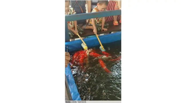 6 Kelakuan Nyeleneh Orang Suapi Makan Hewan Ini Bikin Geleng Kepala