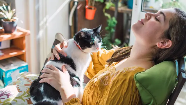 Kiat Tepat Mengelus Kucing, Dijamin Bebas Risiko Cakar dan Gigitan