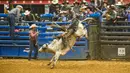 Seorang koboi junior bersaing dalam kompetisi World Finals for the International Miniature Bull Rider 2020 di Mesquite, Texas, AS, 9 Desember 2020. Kompetisi yang diselenggarakan oleh International Miniature Bullrider's Association itu diikuti oleh lebih dari 260 kontestan. (Xinhua/Dan Tian)